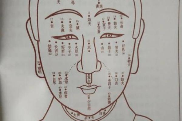 公司吉凶免费测试打分(公司吉凶查询打分测试)