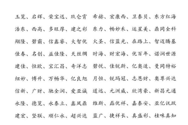 名字起名公司(起名有限公司)