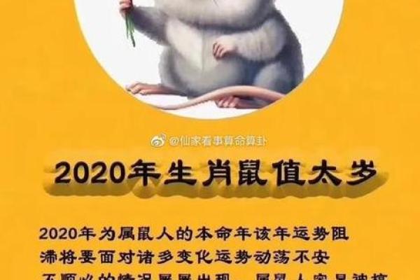 11月属鼠人结婚吉日查询(11月属鼠人结婚吉日查询) 11月属鼠人结婚吉日查询(11月属鼠人结婚吉日查询)