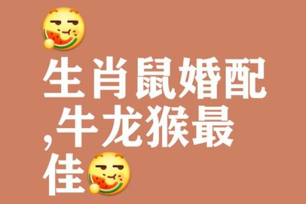 11月属鼠人结婚吉日查询(11月属鼠人结婚吉日查询) 11月属鼠人结婚吉日查询(11月属鼠人结婚吉日查询)