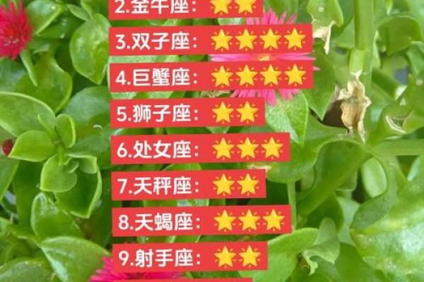 巨蟹座今日运气(巨蟹座今日运势财运)