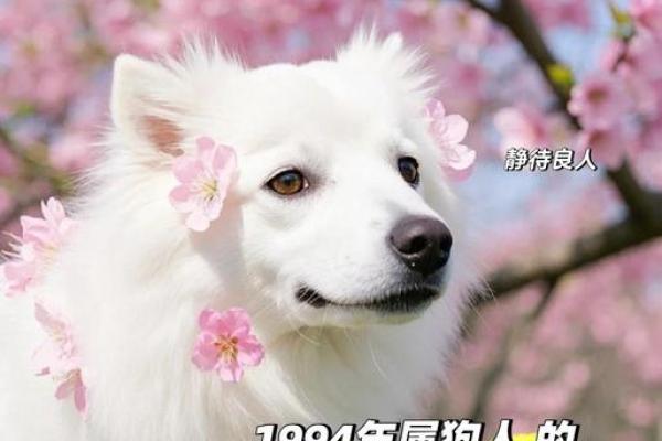 94年狗结婚吉日2025