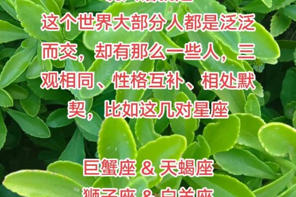 巨蟹座女生特征(巨蟹座女生和处女座女生适合做朋友吗)