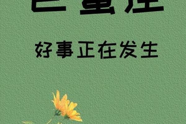 巨蟹座3月27日运势(巨蟹座3月29日运势)