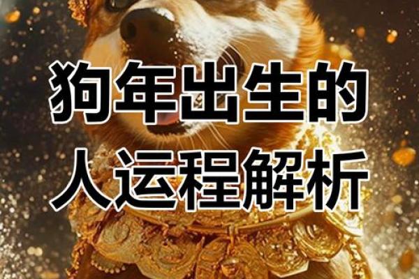2025年3月份属狗的人理发吉日精选(属狗的今天能理发吗)