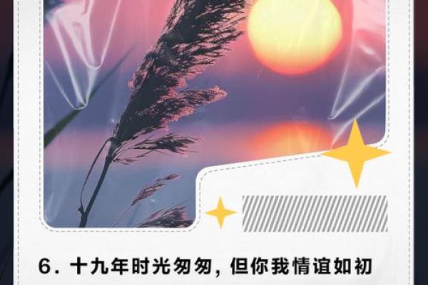 19年适合结婚吉日(19年适合结婚吉日有哪几天)