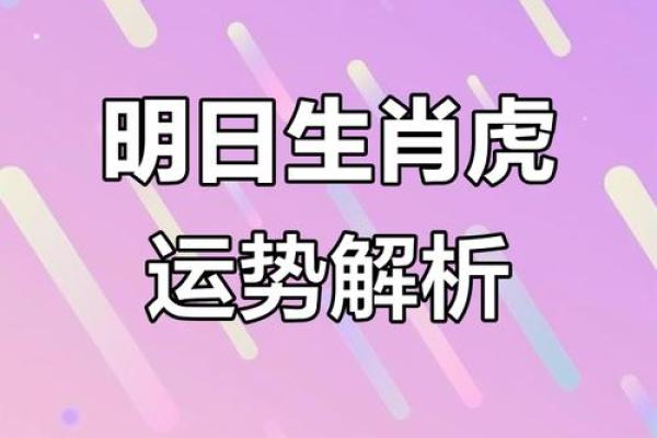 11月虎男结婚吉日(11月虎男结婚吉日是哪天)