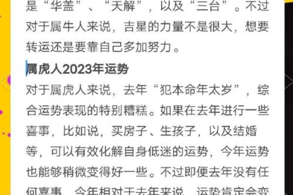 97年属牛结婚吉日