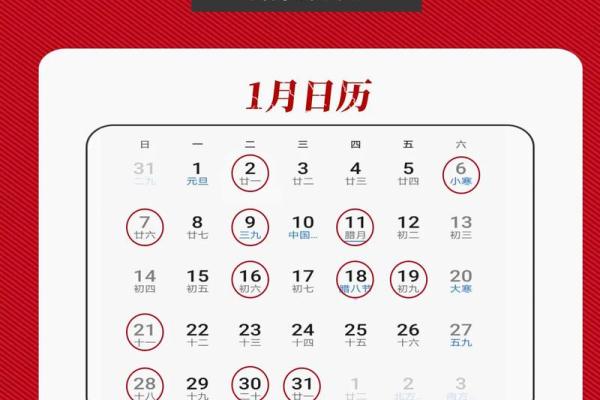 95年属猪今年领证吉日 95年属猪今年领证吉日