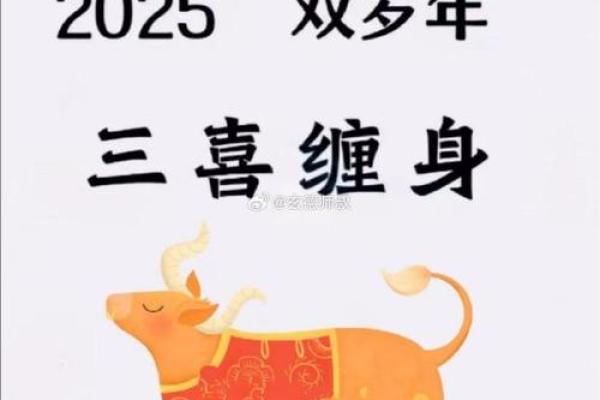 2025年生肖牛安门吉日推荐_属牛的人在2025年怎么样(2025年牛年是什么命)