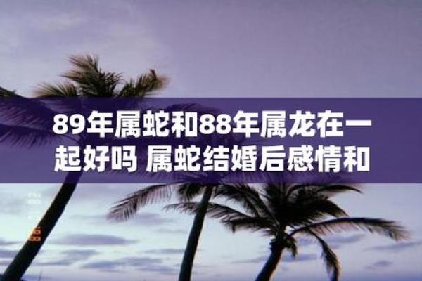 3月领证吉日虎和蛇 3月领证吉日虎和蛇