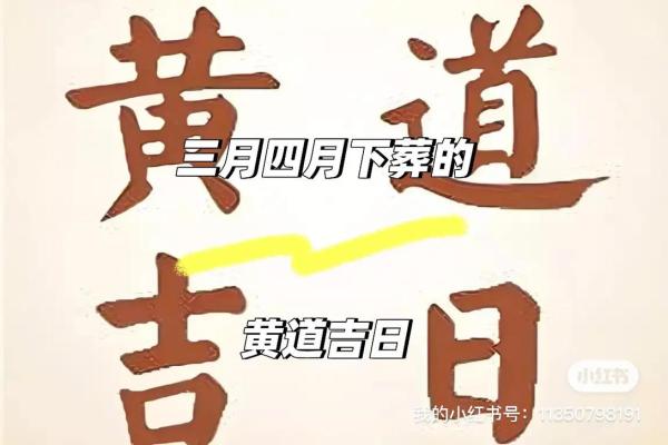 2025年三月份适合搬家的黄道吉日(2025年3月25号搬家)
