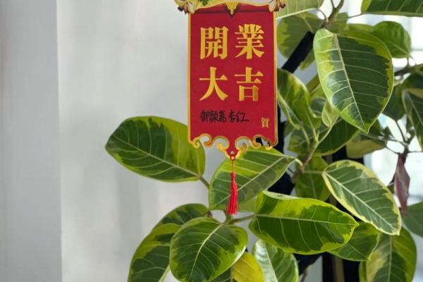 2026年12月份开业吉日一览表 新店开张吉日挑选方法2026年12月